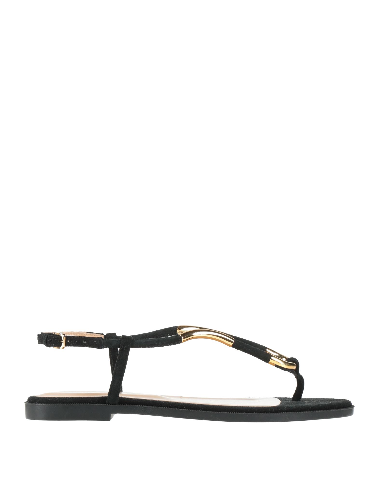 SERGIO ROSSI Zehentrenner Damen Schwarz von SERGIO ROSSI