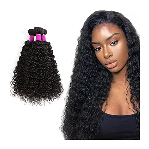 Haar Bündel Brasilianische lockige Haarbündel, 3 Bündel Kinky Curly Human Hair Bündel for schwarze Frauen, brasilianische Remy -Haarweber -Erweiterungen natürliche Balck Farbe Haarverlängerung ( Size von SERUMY