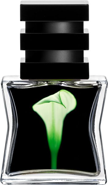 SG79 | STHLM No. 22 Green Eau de Parfum (EdP) 15 ml von SG79 | STHLM
