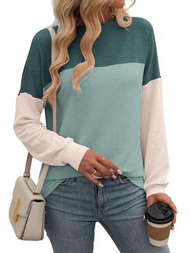 SHEKINI Damen Sweatshirt Elegant Lässige Pullover Langarmshirt Rundhals Pulli Herbst Winter Casual Tunika Oberteile Langarm Tops S-XXL von SHEKINI