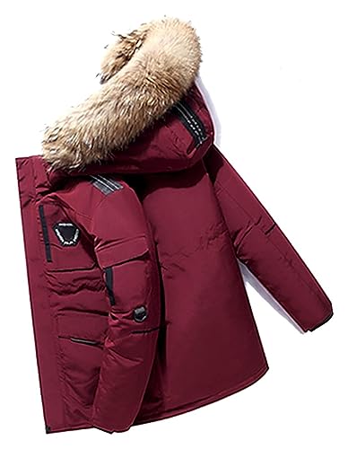 SHENGFU Herren Daunenjacke Big Goose Herbst Und Winter Verdickter Mantel Canada Style Warmer Schneemantel (Color : Rouge, Size : XL) von SHENGFU