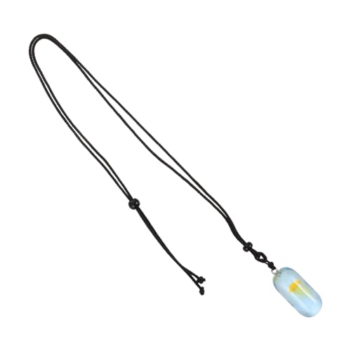 SHERCHPRY Glow in The Dark Jellyfish Pendant Necklace Luminous Resin Ocean Jewelry für Frauen Taucher Souvenir Halloween Geschenk Strand Accessoire von SHERCHPRY