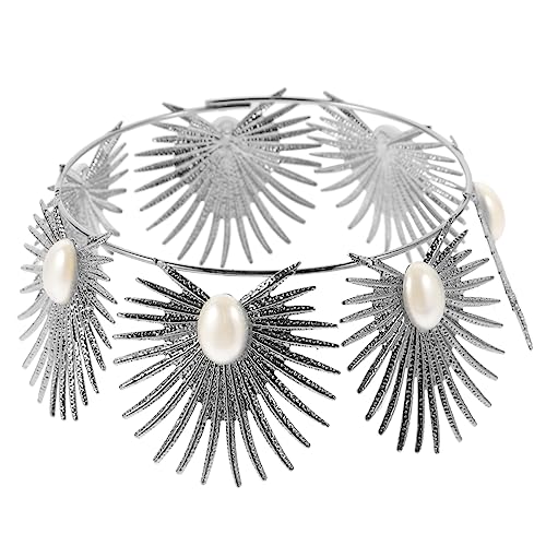 SHERCHPRY Krone Tortenaufsatz aus Perlen für Mädchen Dekorative Krone für Hochzeiten Geburtstage und Partys Haarschmuck Accessoire für Fotografie und Feiern Silber SHERCHPRY Krone Tortenaufsatz aus Perlen für Mädchen Dekorative Krone für Hochzeiten Geburtstage und Partys Haarschmuck Accessoire für Fotografie und Feiern Silber von SHERCHPRY
