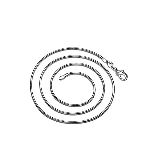 SHERCHPRY Schlangenhalskette modische Schlangenkette Kette mit Anhänger Kettenhalsband Halsketten Halskette für Frauen versilberte Halskette Europäisch und amerikanisch Zubehör von SHERCHPRY