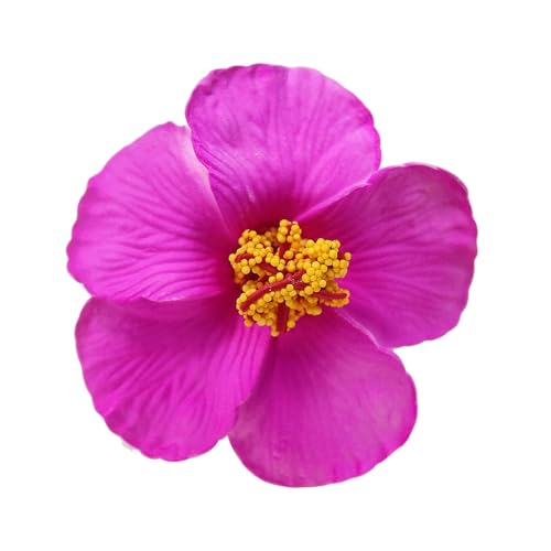 Eva Material Hair Clip Damen Blume farbenfrohe dekorative Haarnadel langlebig nicht verblüffendes Accessoire für schöne Frisuren süßes glänzendes Design perfekt Rosenrot von SHINROAD