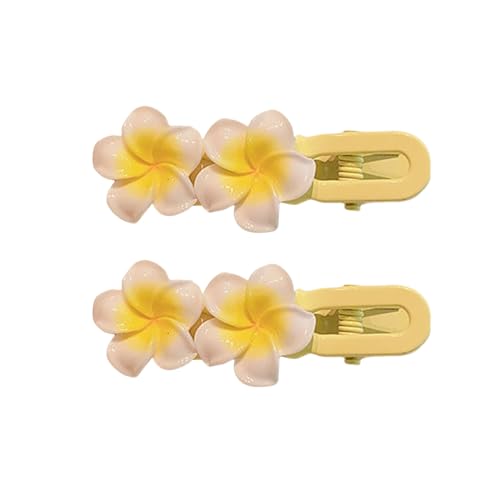 Exquisite Haarnadel-Haargummis für Damen, elegante Haarnadeln, elastisch, Mädchenzubehör, rutschfest, süße Plumeria-Blumenringe, dekorativer Kunststoff, C von SHINROAD