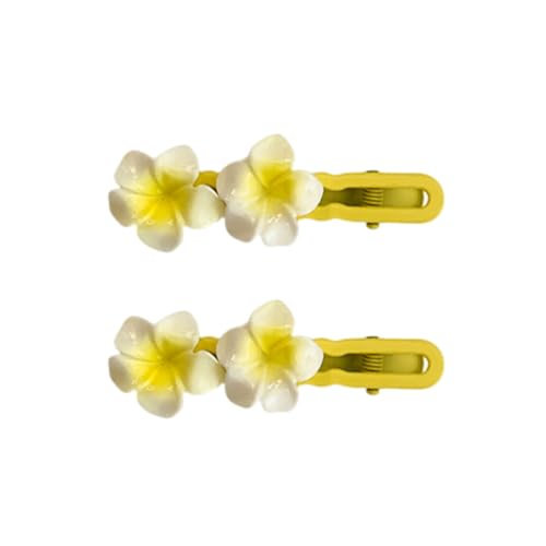 Starke Grip Hair Clips 1 Paar Frauen Blumen dekorative Barrettes für Strandurlaub tägliche Wear -Partys Blumenzubehör Styling Styling C von SHINROAD