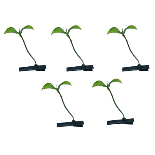 Wunderliche Haardekorationen 5pcs Frauen Clips Set 3D Blumendekoration Anti-Schlupf-Design Leichtes Haarnadel Bunte Pflanzenzubehör Skurry Pilz B von SHINROAD