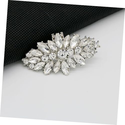 SHOWERORO 2 Stück Abnehmbare Zierliche Schuhclips mit Strassbesatz Modische DIY schuhdekoration für Damen Vielseitig Einsetzbar Einfach zu Befestigen und Wiederzuverwenden von SHOWERORO