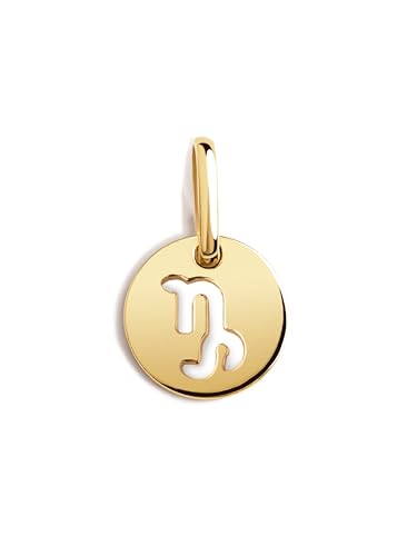 SINGULARU - Charm Mini Medaillon Zodiac - Steinbock - Anhänger aus Sterling Silber mit 18Kt Goldplattierung - Charm kombinierbar mit Halskette - Damenschmuck von SINGULARU