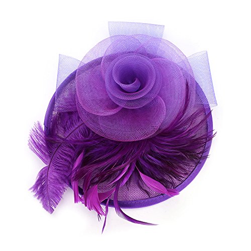 SIQITECH Organza Hut Mesh Damen Fascinator Hut mit Haarnadel Banketthut Elegant Haarschmuck 20er 50er Jahre Partyhut Vintage Royal Pillbox Hut für Hochzeit Party Cocktail Karneval von SIQITECH