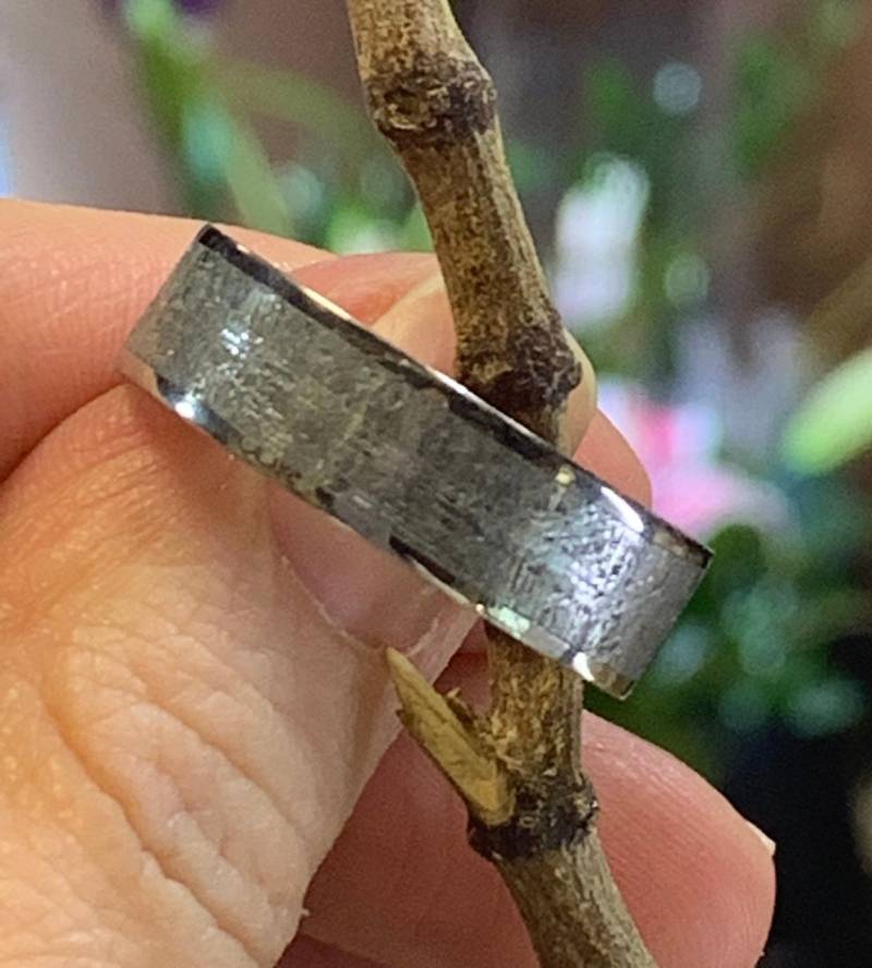 Flache Form Gibeon Meteorit Ehering. Natürlich. 8mm Breit von SJEXCLUSIVEJEWELRY