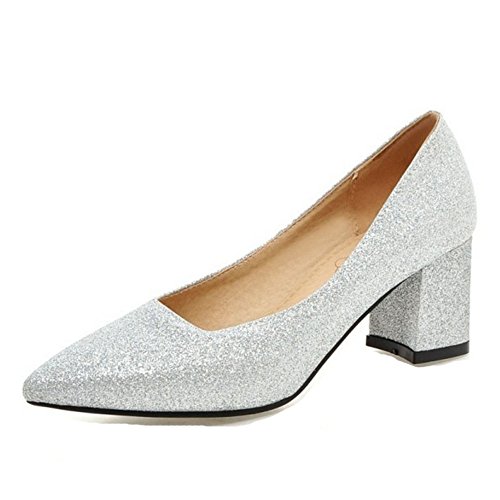 SJJH Damen Elegant Klassischer Pumps mit Blockabsatz Spitze Toe Übergrößen Schuhe (Silver, 40 EU) von SJJH
