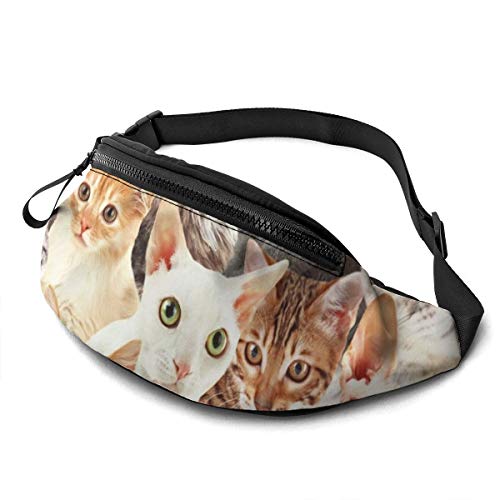 Bauchtasche für Männer Frauen, Katzen Hüfttasche mit Gürtel Verstellbare Sling Pocket Crossbody Umhängetasche Brusttasche für Reisen Wandern Radfahren Laufen, Siehe Abbildung, Einheitsgröße von SJOAOAA