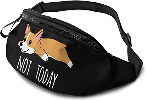 Funny DogToday Bauchtasche für Damen und Herren, lässige Gürteltasche, Crossbody-Bauchtasche mit verstellbarem Riemen für Outdoor, Laufen, Wandern, siehe abbildung, Einheitsgröße, Hüfttasche von SJOAOAA