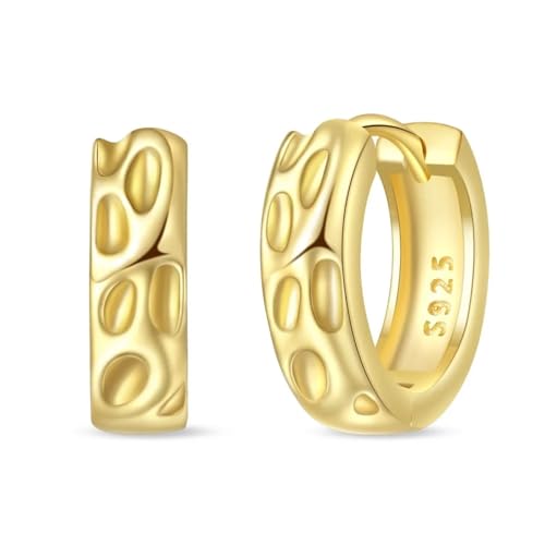 Ohrringe für Damen, Schmuck, 925, einfach gehämmert, für Rock-Party-Zubehör von SKJUBLPG