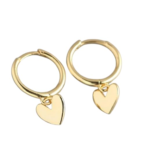 Ohrringe für Damen, Schmuck, 925, rundes Herzmuster, Kreolen für feine Accessoires, Party, Einstellbar, Acryl von SKJUBLPG