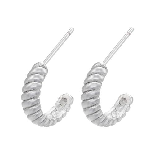 Ohrstecker, Damenschmuck, Schmuck, 1 Paar kleine Kreolen für runde, beliebte zeigen Sie Ihre Schönheit, vielseitig, modisch, exquisit, Einstellbar, Acryl von SKJUBLPG