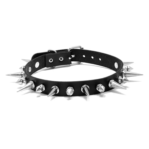 SKJUBLPG Verschiedene Arten von Halsketten und Anhängern für Damen und Herren, Punk, Gothic, schwarze Halskette, cooles Halsband, Einstellbar, Kristall von SKJUBLPG