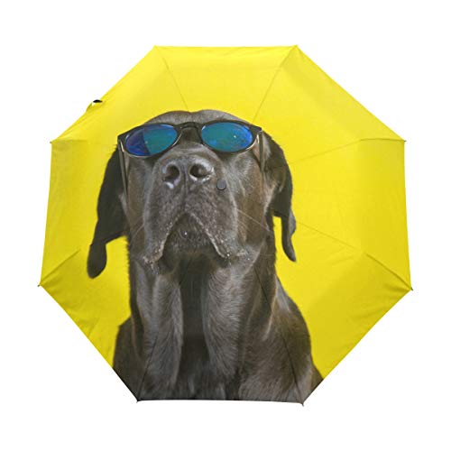 3 Folds Regenschirm Young Black Labrador Auto Open Close Anti-UV Regenschirm von SKYDA