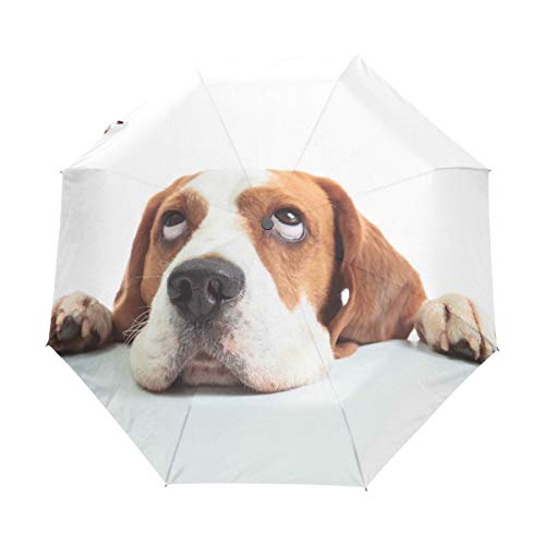Compact Travel Regenschirm Beagle Head Isolated Auto Open Close Regenschirm Windproof Anti-UV von SKYDA