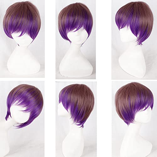 Halloween Fashion Christmas Party Dress Up Wig Cos Wig Lolita Wig Universal Long Curly Straight Short Hair Multi Color:Pl-241 Light Brown Purple (Male) von SKYXD