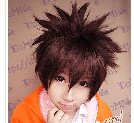 Halloween Fashion Christmas Party Dress Up Wig Cos Wig Sawada Tsunayoshi Closes Face Soaring To The Sky, Thickened Brown-Red Anime Wig von SKYXD