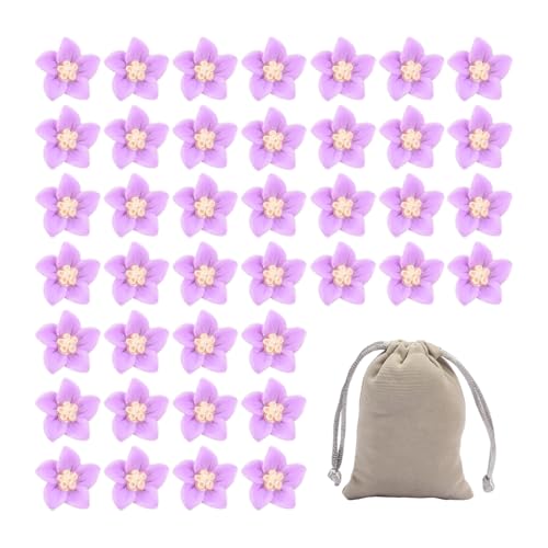 40 Blumen-Haar-Accessoires, 1 Aufbewahrungstasche, Mini-Blumen-Haarspangen, Dekorative Haarspangen, Blumen-Haarspangen Für Damen von SLAXJNE