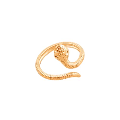 Ins Style Titanium Stahlring Mode schlangengeformten Ring Frauen Persönlichkeit Licht Luxus Jubiläum Schmuck Geschenk Ins Style Titanium Stahlring Mode schlangengeformten Ring Frauen Persönlichkeit Licht Luxus Jubiläum Schmuck Geschenk von SLCHJX