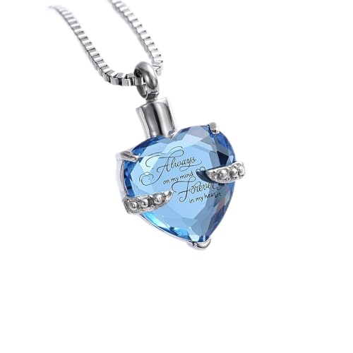 SLCHJX Kristall Herz Asche Urnen Halskette mit Geburtsstein Edelstahl Herz Formschämung Schmuck für Asche Frauen Keepa SLCHJX Kristall Herz Asche Urnen Halskette mit Geburtsstein Edelstahl Herz Formschämung Schmuck für Asche Frauen Keepa von SLCHJX