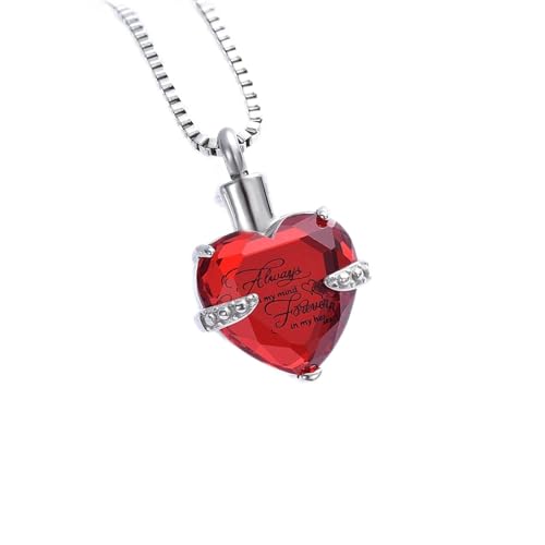 SLCHJX Kristall Herz Asche Urnen Halskette mit Geburtsstein Edelstahl Herz Formschämung Schmuck für Asche Frauen Keepa von SLCHJX