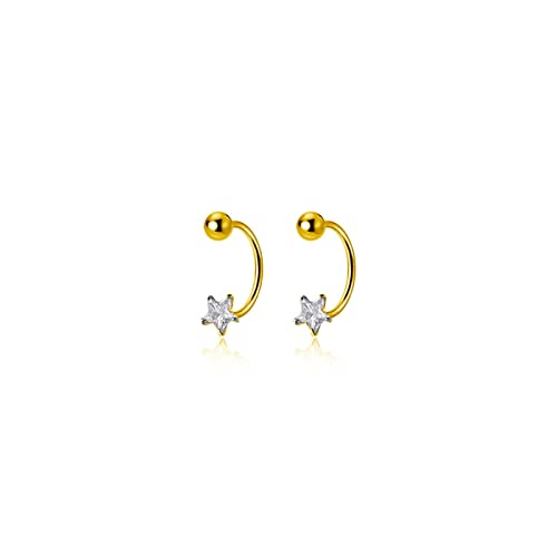 Star Zircon Mode Romantische Star-Ohrringe Frauen einfache und elegante Partyschmuck High-End-Ohrringe von SLCHJX