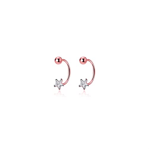 Star Zircon Mode Romantische Star-Ohrringe Frauen einfache und elegante Partyschmuck High-End-Ohrringe von SLCHJX