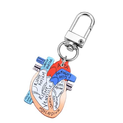 SLXLYH Anatomical Heart Keychain Pendant Educational Keyrings Accessoire Für Physische Studenten Und Angehörige Der Gesundheitsberufe von SLXLYH