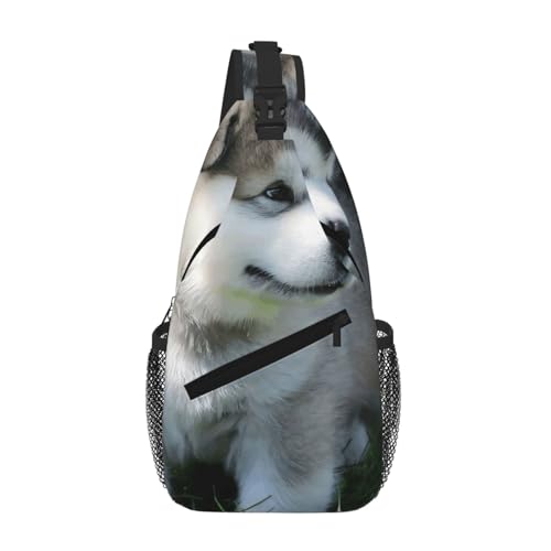 SMAZDFXX Süße Alaskan Malamute-Umhängetasche für Herren, leichte Handy-Geldbörse, Schlüsseletui, Brusttasche für Reisen und Fitness SMAZDFXX Süße Alaskan Malamute-Umhängetasche für Herren, leichte Handy-Geldbörse, Schlüsseletui, Brusttasche für Reisen und Fitness von SMAZDFXX