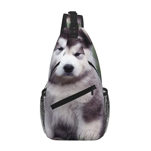 SMAZDFXX Süße Umhängetasche für Herren mit Schlittenhund, leichte Handy-Geldbörse, Schlüsseletui, Brusttasche für Reisen und Fitness SMAZDFXX Süße Umhängetasche für Herren mit Schlittenhund, leichte Handy-Geldbörse, Schlüsseletui, Brusttasche für Reisen und Fitness von SMAZDFXX