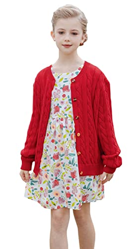 SMILING PINKER Aran-Strickjacke für kleine Mädchen und Jungen, Zopfstrick, Rundhalsausschnitt, Knopfleiste, klobiger Pullover, rot, 3-4 Jahre von SMILING PINKER