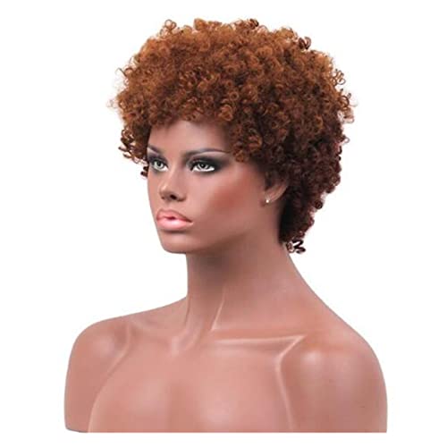 Perücken Herren Perücke Damen 10cm Haarschnitte Kurze Afro-lockige Synthetische Perücken Für Schwarze Frauen Afroamerikaner-Frauen-Perücken Perücke Täglich von SOCUY