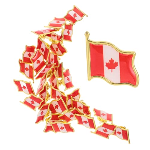 SOIMISS 1 Satz Flagge Anstecker Metall Brosche Pin Für Kleidung Einfache Anwendung Und Dekorativer Für Partys Und Wiederverwendbar Und 25 Stück von SOIMISS