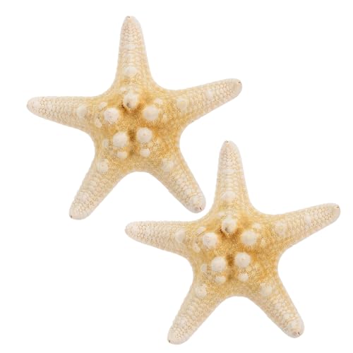 SOIMISS 2stücke Seestern Haarspange Fünfzackig Strand Haarnadel Stern Haarspange Haarnadeln Für Frauen Mädchen Haarschmuck Ca Accessoire Für Abschlussbälle Partys Treffen Mit Freunden von SOIMISS