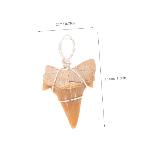 SOIMISS 2 Stück Teiliges Haifischzahn Anhänger mit Umwickelt Charms für Herren Halsketten Schmuckherstellung Surfer Outdoor Stil Modisch und Langlebig von SOIMISS