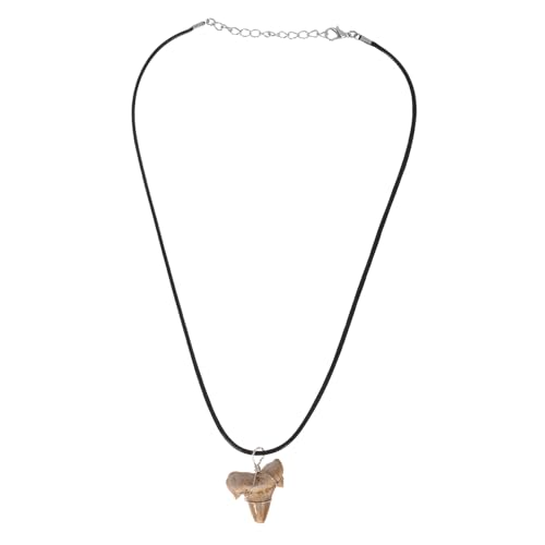 SOIMISS Haifischzahn Halskette für Männer Langlebiger Haifischzahn Anhänger Tribal Stil Charm Halskette für Outdoor Aktivitäten für Freunde und Familie von SOIMISS