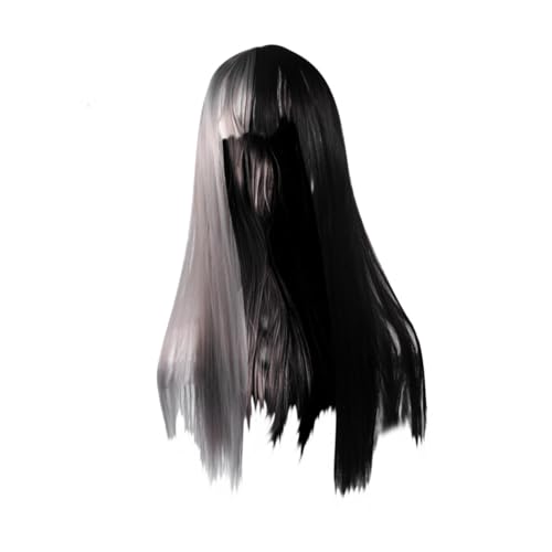 SOIMISS Perücke Aus Kunsthaar Für Damen Glatte Lange Perücke Halb Schwarz Halb Farbverlauf Haarschmuck Für Kostüme Mode Und Alltag von SOIMISS