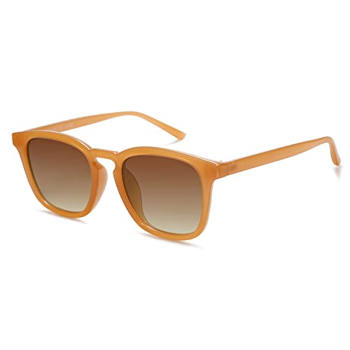 SOJOS Sonnenbrille Damen Herren Retro,Rechteckig Klassische Trendy Vintage Polarisierte Sonnenbrillen SJ2155 von SOJOS