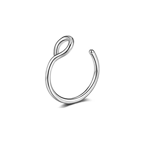 Fake Piercing Nasenring Septumringe für Frauen Edelstahl Magnet Septum Ringe Goth Punk Körper Hip Hop Körperschmuck Geschenke (1) von SOKNKSTF