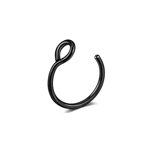 Fake Piercing Nasenring Septumringe für Frauen Edelstahl Magnet Septumringe Gothic Punk Körper Hip Hop Körperschmuck Geschenke (2) von SOKNKSTF