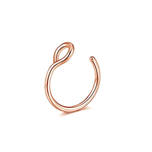 Fake Piercing Nasenring Septumringe für Frauen Edelstahl Magnet Septumringe Gothic Punk Körper Hip Hop Körperschmuck Geschenke (4) von SOKNKSTF