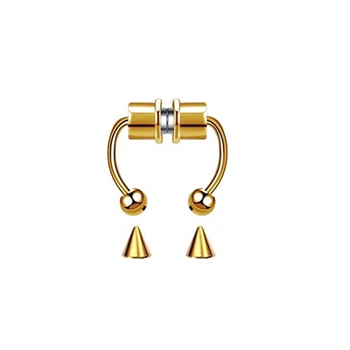 Fake Piercing Nasenring Septumringe für Frauen Edelstahl Magnet Septumringe Gothic Punk Körper Hip Hop Körperschmuck Geschenke (Gold) von SOKNKSTF