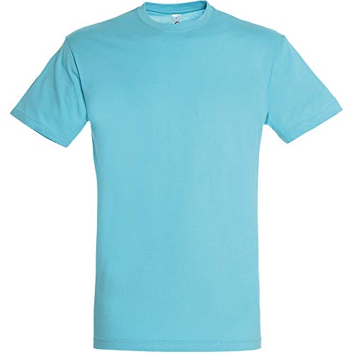 Sols Regent Herren T-Shirt, Kurzarm (L) (Aqua) von SOL'S