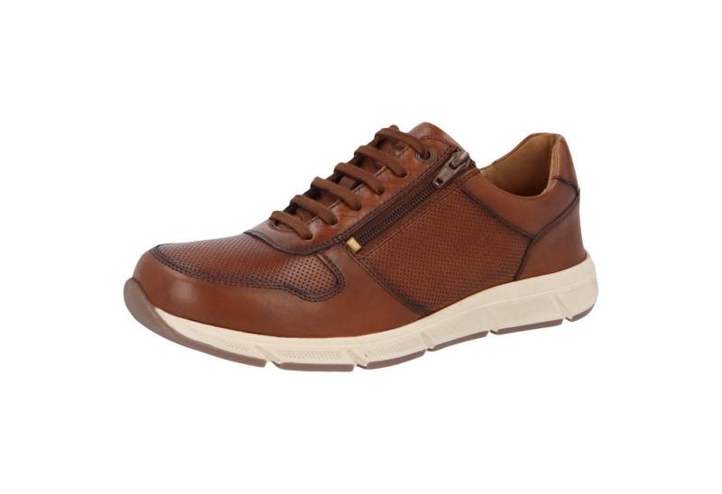 SOLIDUS Solidus männlich Solidus Kai Halbschuh Leder Schnürschuh von SOLIDUS